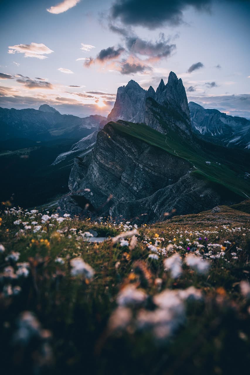 Valley of Flowers