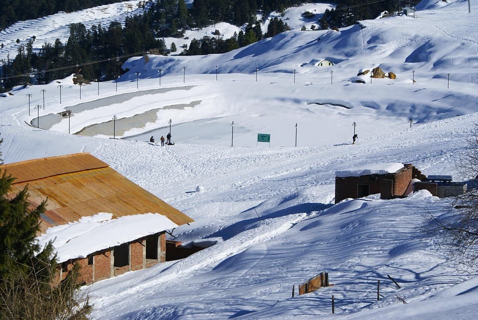 Auli